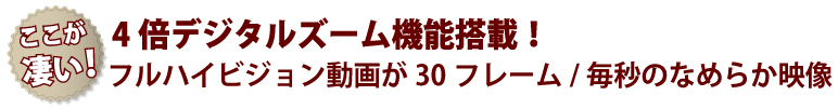 充実のマルチ機能でリアルタイム録画を可能にしたハイスペックドライブレコーダー IPT-DRFHD300DB アイティプロテック